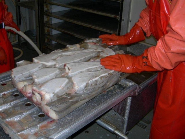 This year's Pacific Cod catch from the Central Gulf and PWS